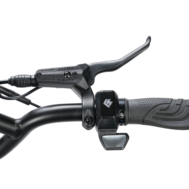 Hiley Tiger GTR Waterproof Scooter 2800W